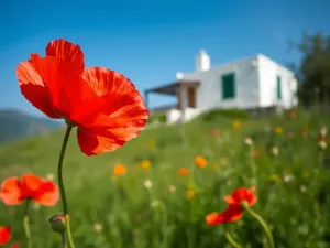 Temperatura w Grecji w maju – co warto wiedzieć przed wyjazdem?